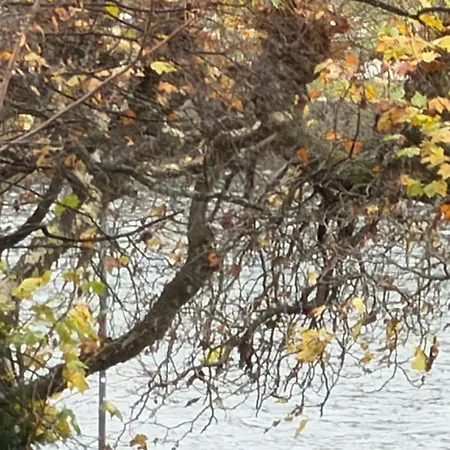 Mein Apartment Frankfurt am Main