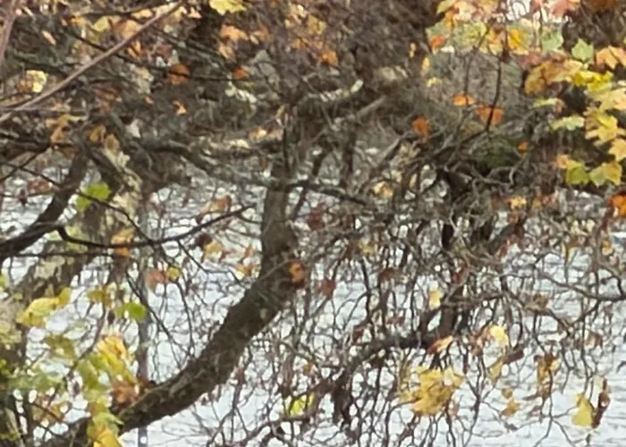 Mein Appartement Frankfurt am Main